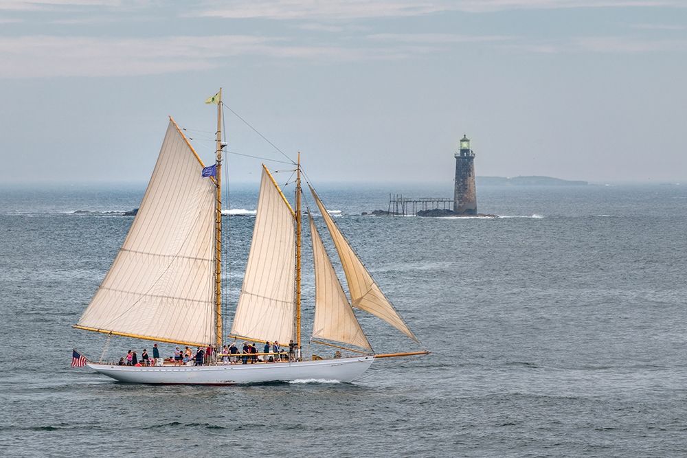 Smooth Sailing art print by Danny Head for $57.95 CAD