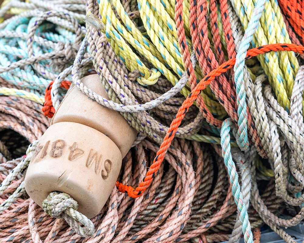 Knowing the Ropes I art print by Danny Head for $57.95 CAD