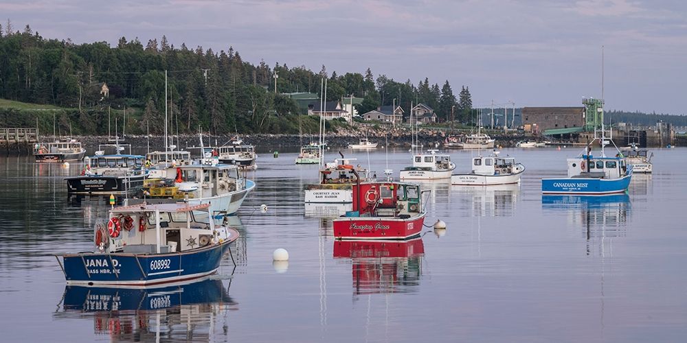 Working Harbor III art print by Danny Head for $57.95 CAD
