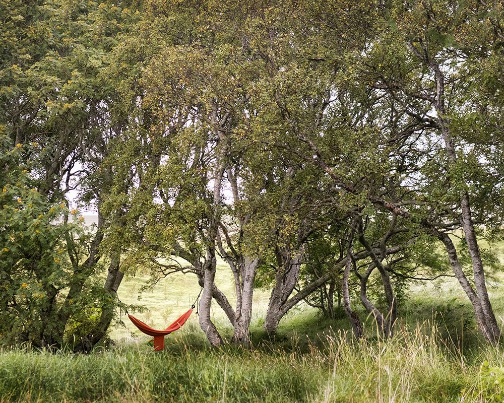 Red Hammock art print by Danny Head for $57.95 CAD