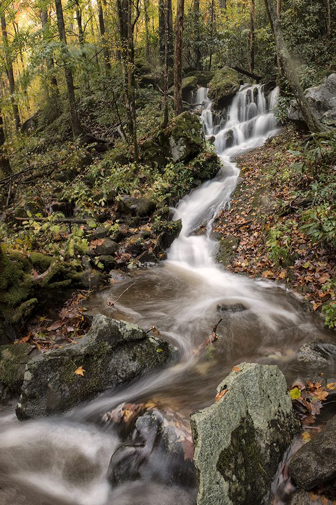 Roadside Falls II art print by Danny Head for $57.95 CAD