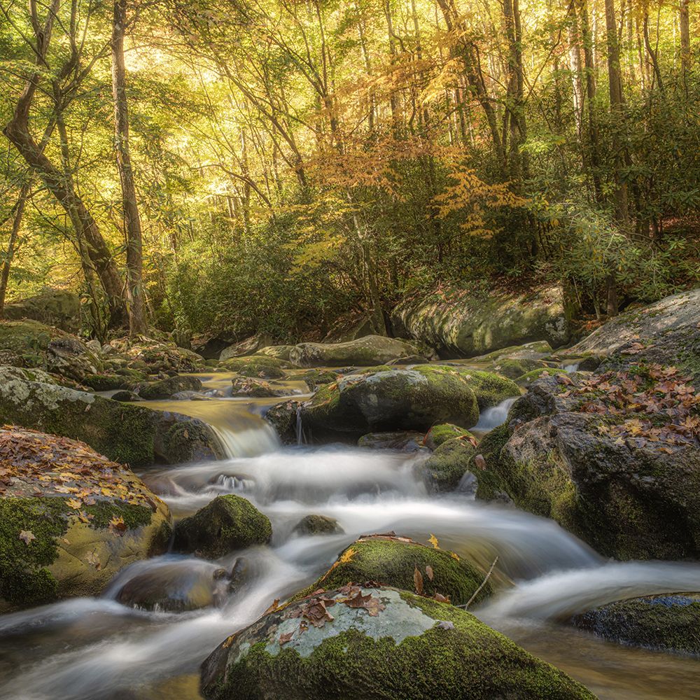 Simply Autumn art print by Danny Head for $57.95 CAD