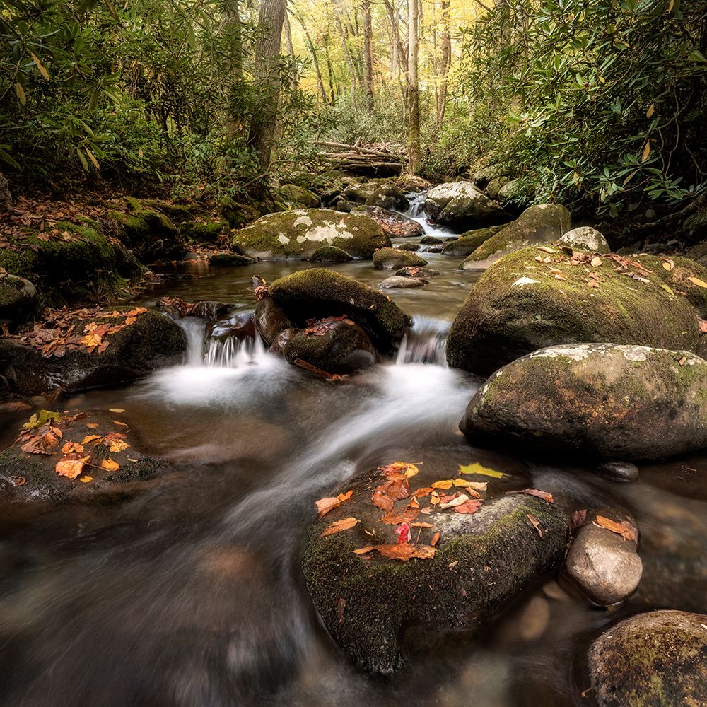 Laurel Lined Streams art print by Danny Head for $57.95 CAD