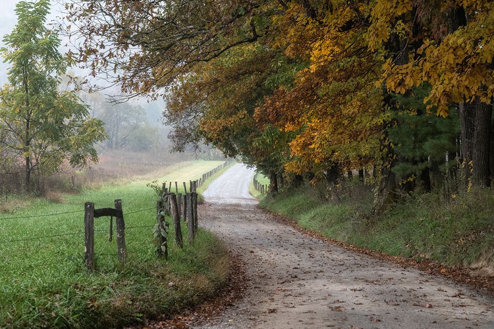 Cove Lane III art print by Danny Head for $57.95 CAD
