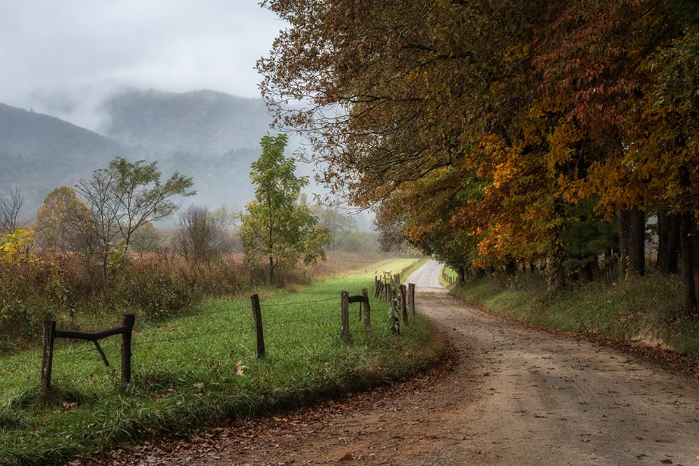 Cove Lane IV art print by Danny Head for $57.95 CAD