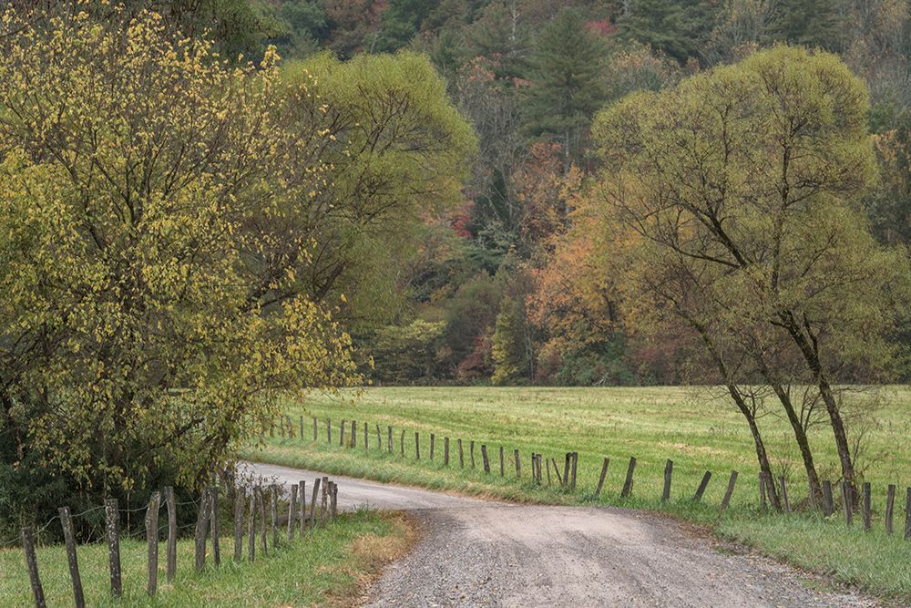 Roads and Fences art print by Danny Head for $57.95 CAD
