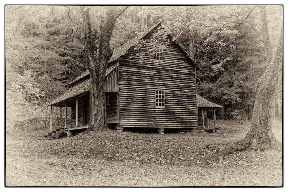Early Cabin art print by Danny Head for $57.95 CAD
