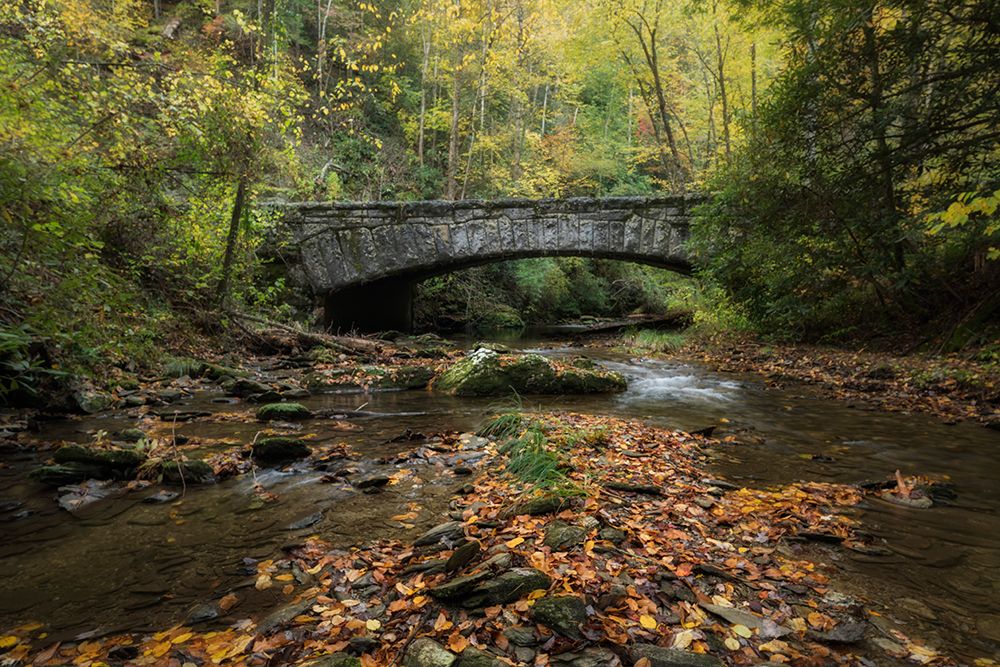 Arched Bridge art print by Danny Head for $57.95 CAD