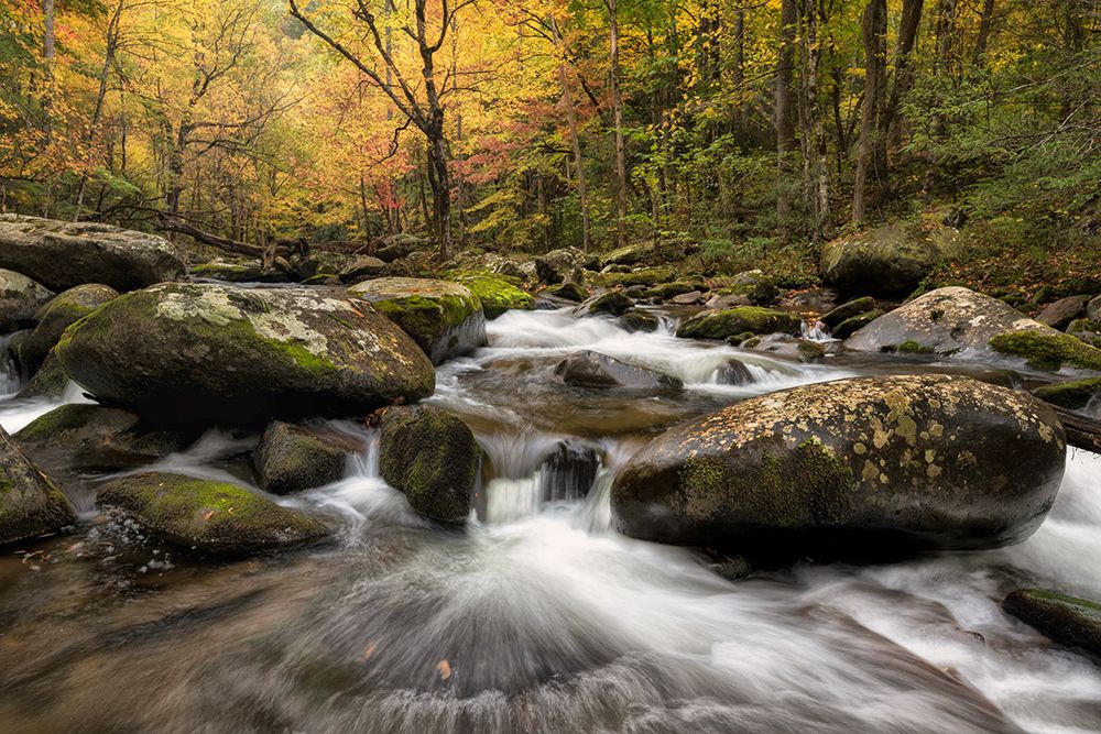 Autumn at Tremont I art print by Danny Head for $57.95 CAD