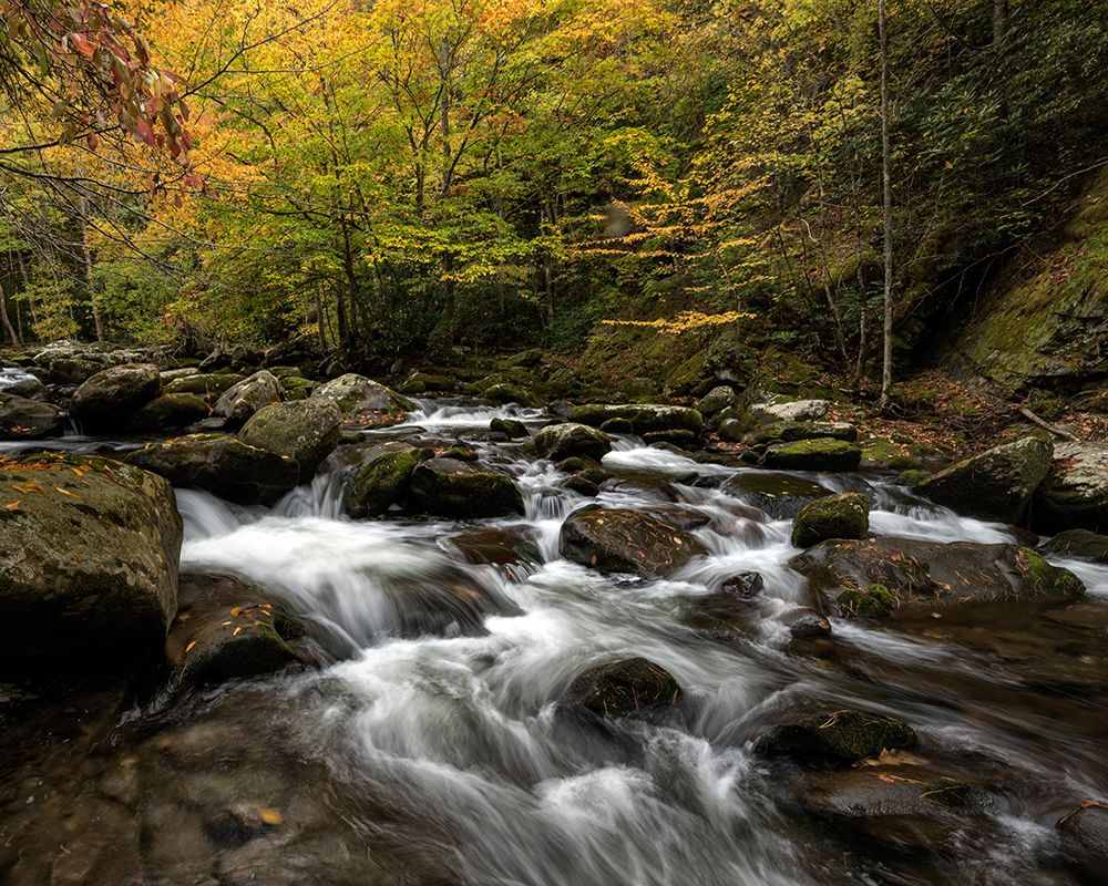 Autumn at Tremont II art print by Danny Head for $57.95 CAD