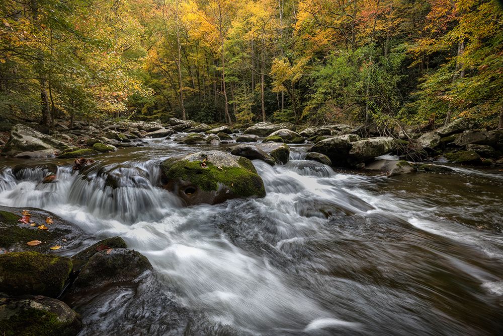 Autumn at Tremont III art print by Danny Head for $57.95 CAD
