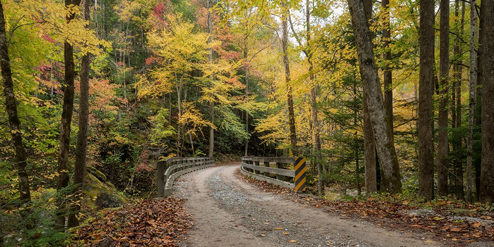 Golden Crossing art print by Danny Head for $57.95 CAD