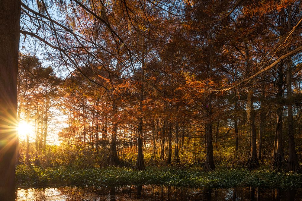 Last Light art print by Danny Head for $57.95 CAD