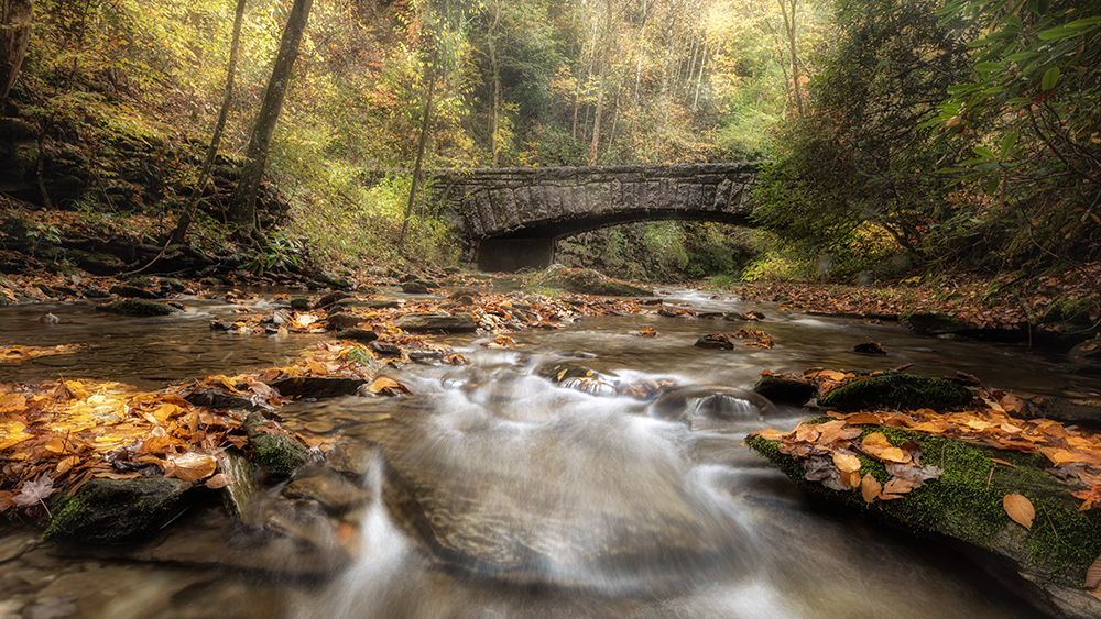 The Arch in Autumn art print by Danny Head for $57.95 CAD