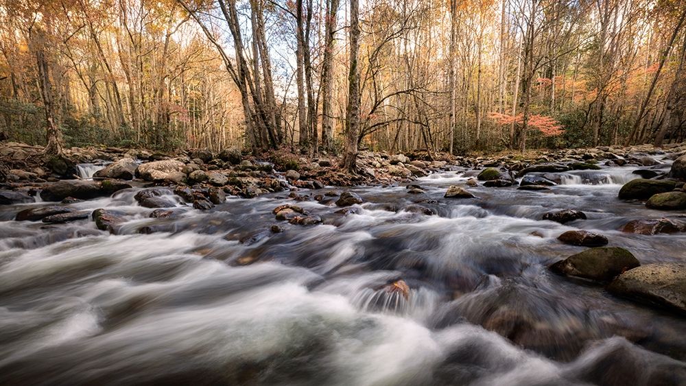 Rivers Fork art print by Danny Head for $57.95 CAD