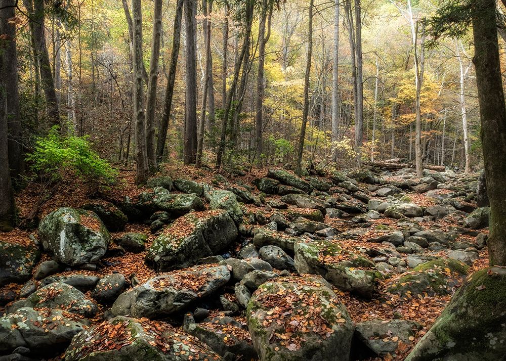 Dry Creek art print by Danny Head for $57.95 CAD