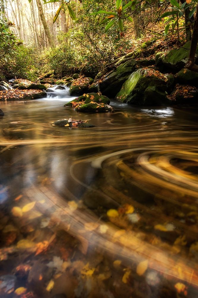 Moving Autumn II art print by Danny Head for $57.95 CAD