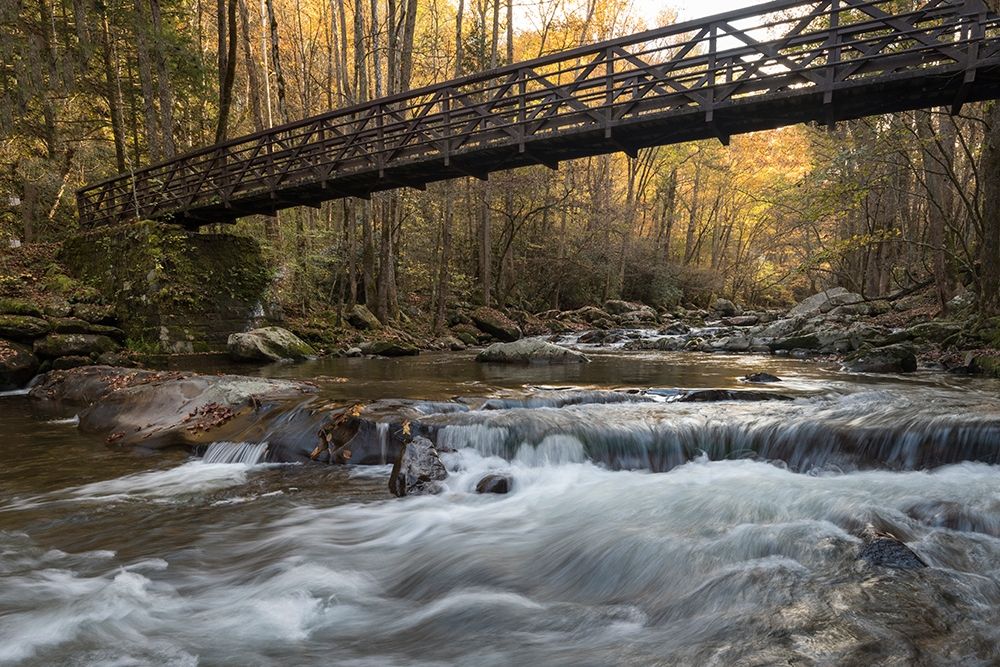 Bridge to Autumn I art print by Danny Head for $57.95 CAD