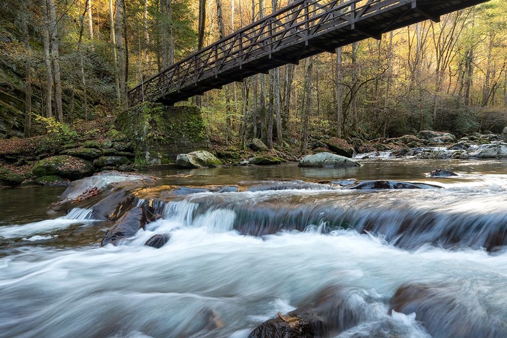Bridge to Autumn II art print by Danny Head for $57.95 CAD