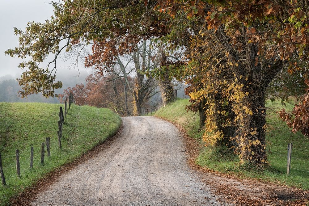 Hyatt Lane I art print by Danny Head for $57.95 CAD