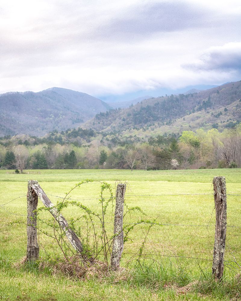 Cove Fence art print by Danny Head for $57.95 CAD