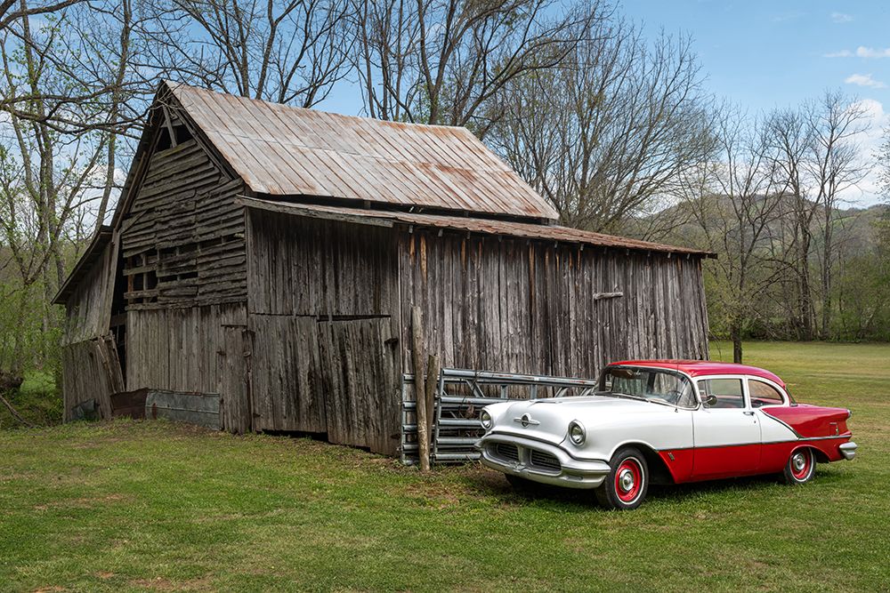 Red and White art print by Danny Head for $57.95 CAD