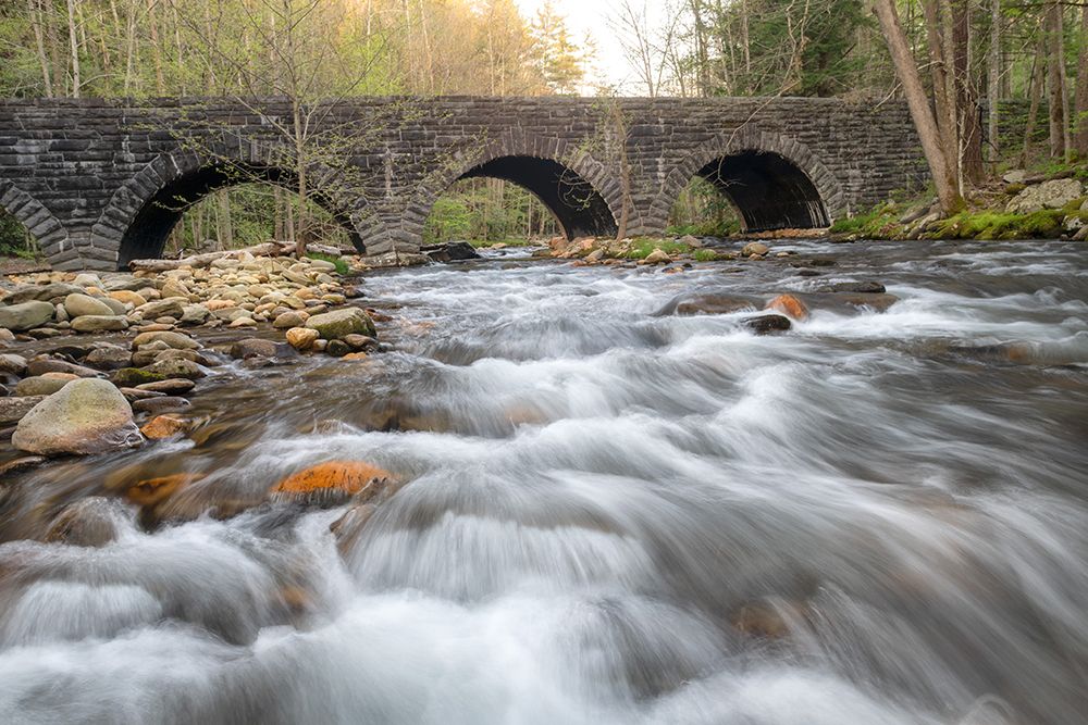 Stone Bridge art print by Danny Head for $57.95 CAD