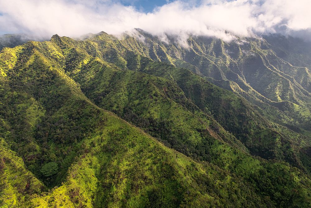 Na Pali Green art print by Danny Head for $57.95 CAD