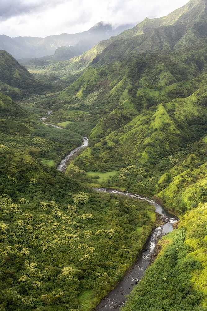 Hanalei Valley I art print by Danny Head for $57.95 CAD
