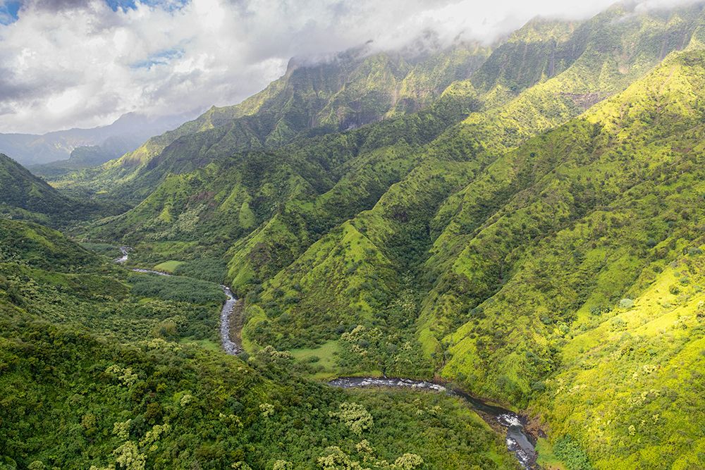 Hanalei Valley II art print by Danny Head for $57.95 CAD