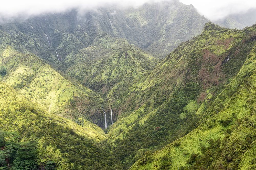 Tropical Valley art print by Danny Head for $57.95 CAD