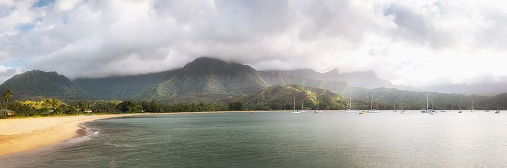 Hanalei Pano II art print by Danny Head for $57.95 CAD