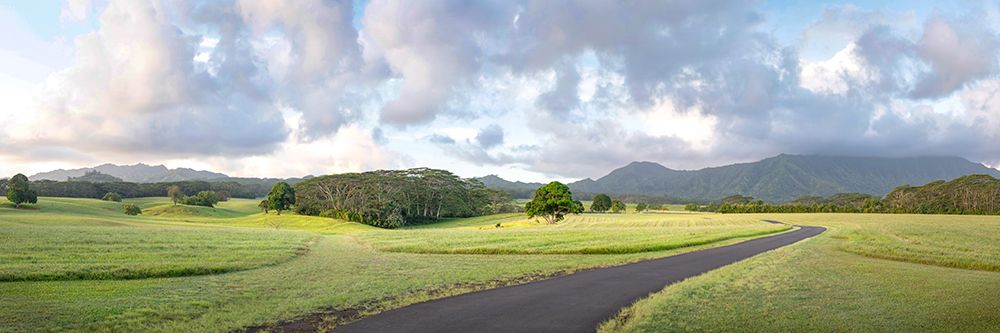 Jarassic Ranch Pano art print by Danny Head for $57.95 CAD