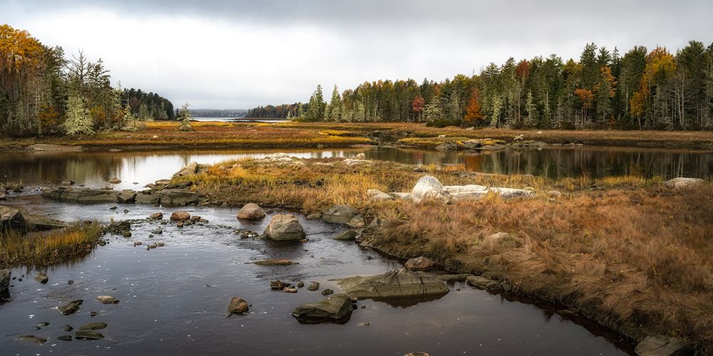 Low Tide art print by Danny Head for $57.95 CAD