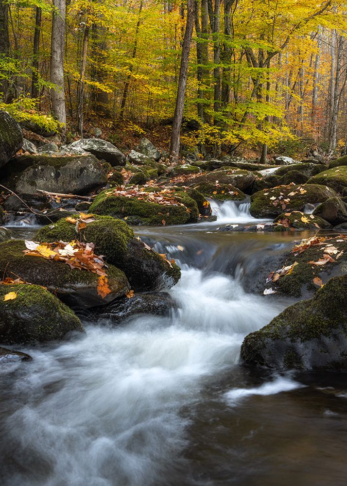 Peaceful Flow I art print by Danny Head for $57.95 CAD