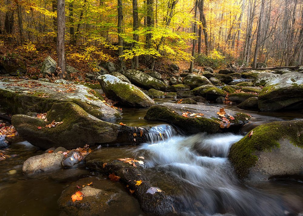 Peaceful Flow II art print by Danny Head for $57.95 CAD