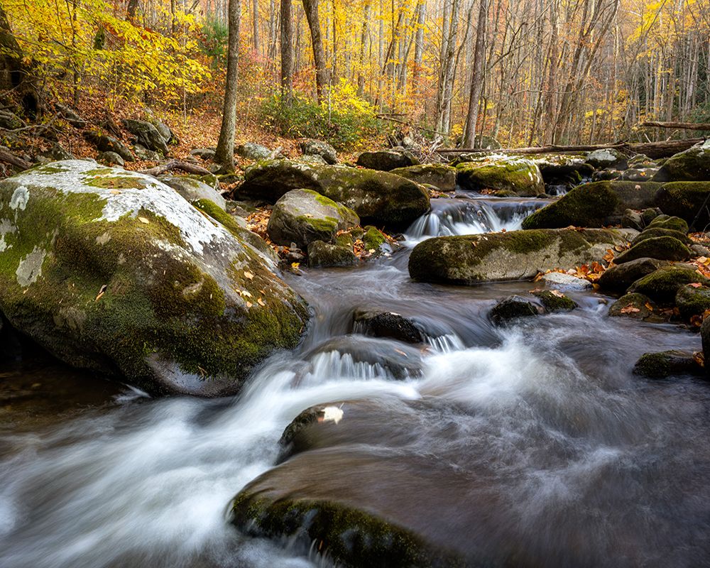 Peaceful Flow III art print by Danny Head for $57.95 CAD