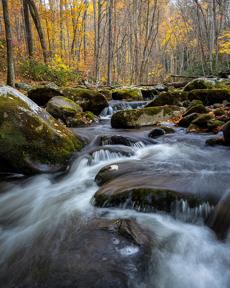 Peaceful Flow IV art print by Danny Head for $57.95 CAD