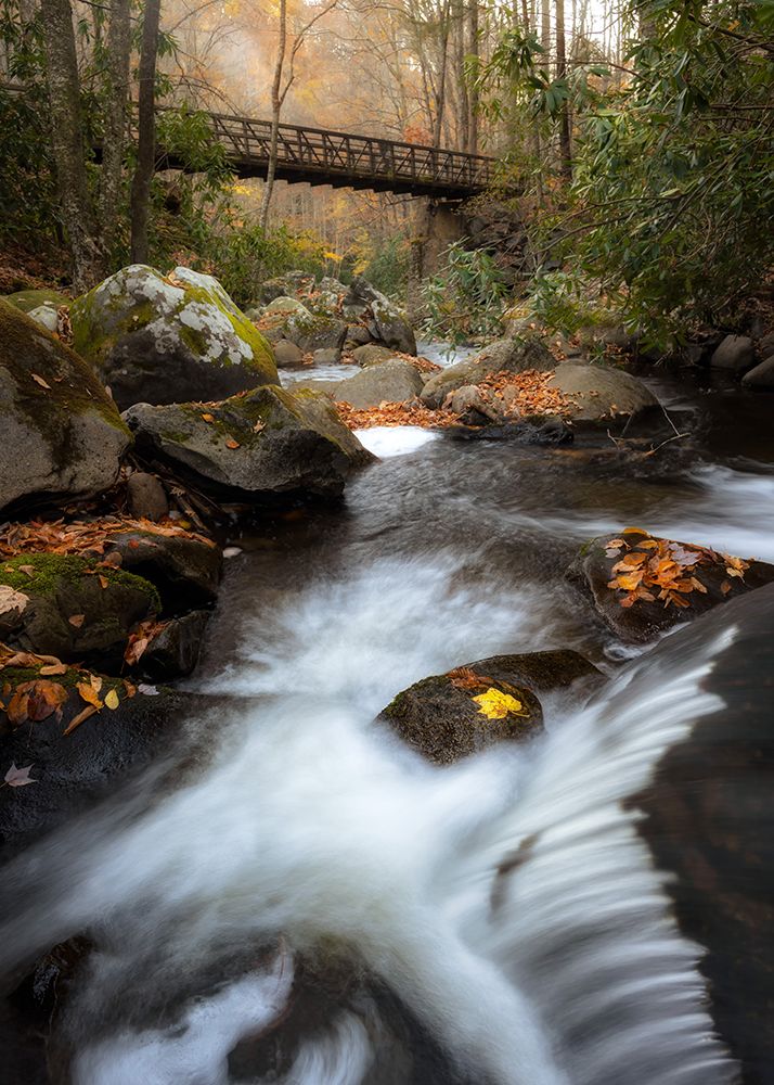 The Bridge I art print by Danny Head for $57.95 CAD