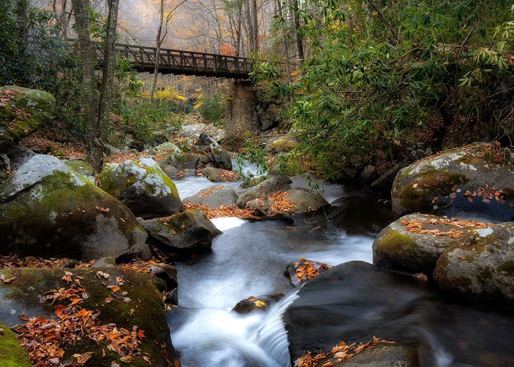 The Bridge II art print by Danny Head for $57.95 CAD
