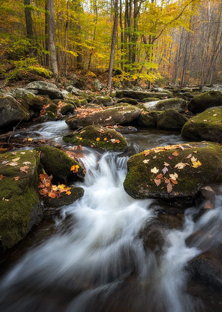 Peaceful Flow V art print by Danny Head for $57.95 CAD