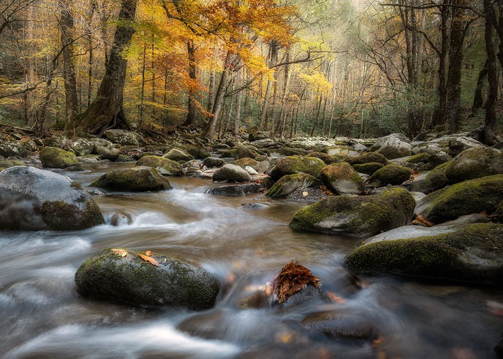 Dreamy Autumn art print by Danny Head for $57.95 CAD