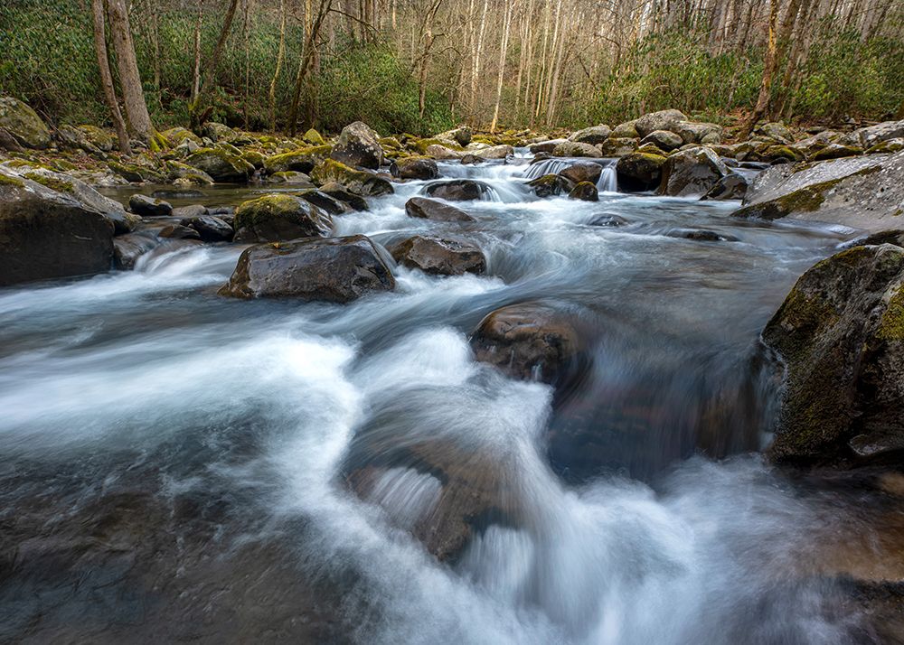 Big Creek I art print by Danny Head for $57.95 CAD