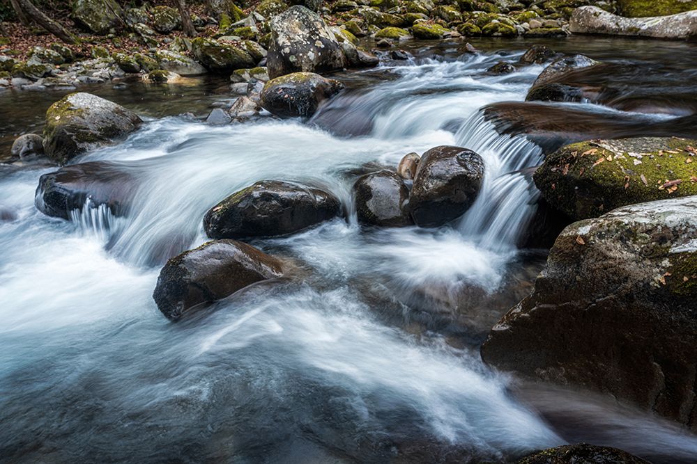 Big Creek II art print by Danny Head for $57.95 CAD