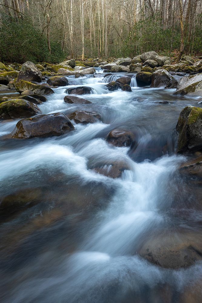 Big Creek III art print by Danny Head for $57.95 CAD