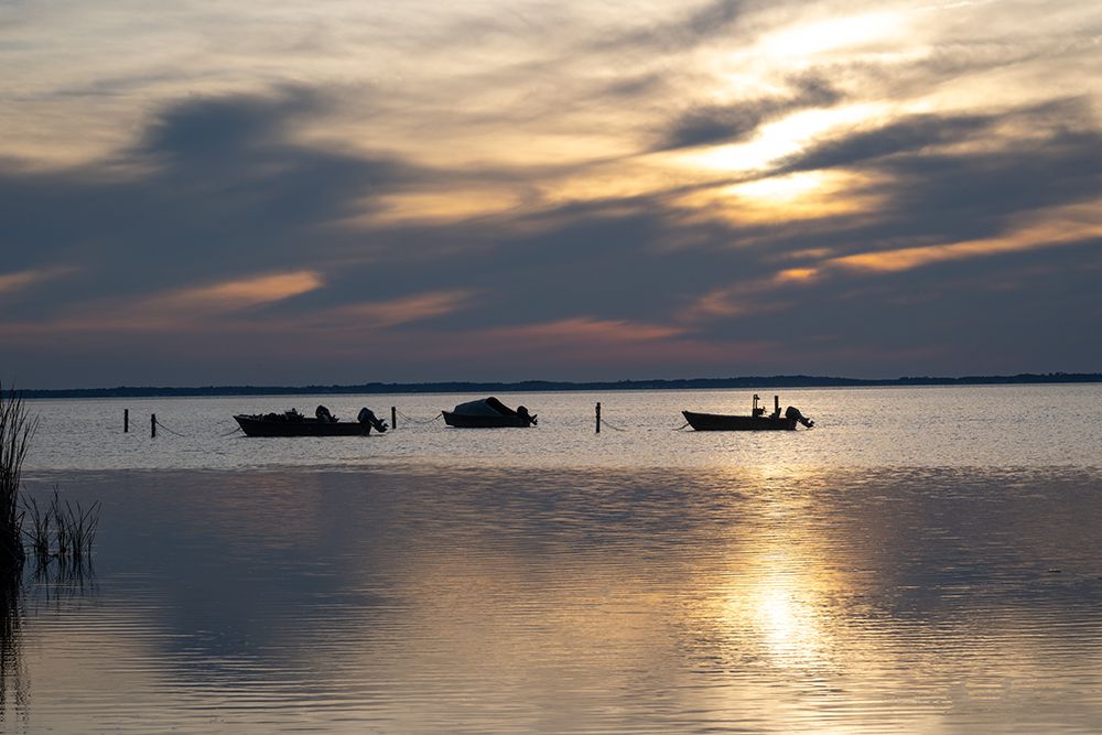 Three Anchored art print by Danny Head for $57.95 CAD