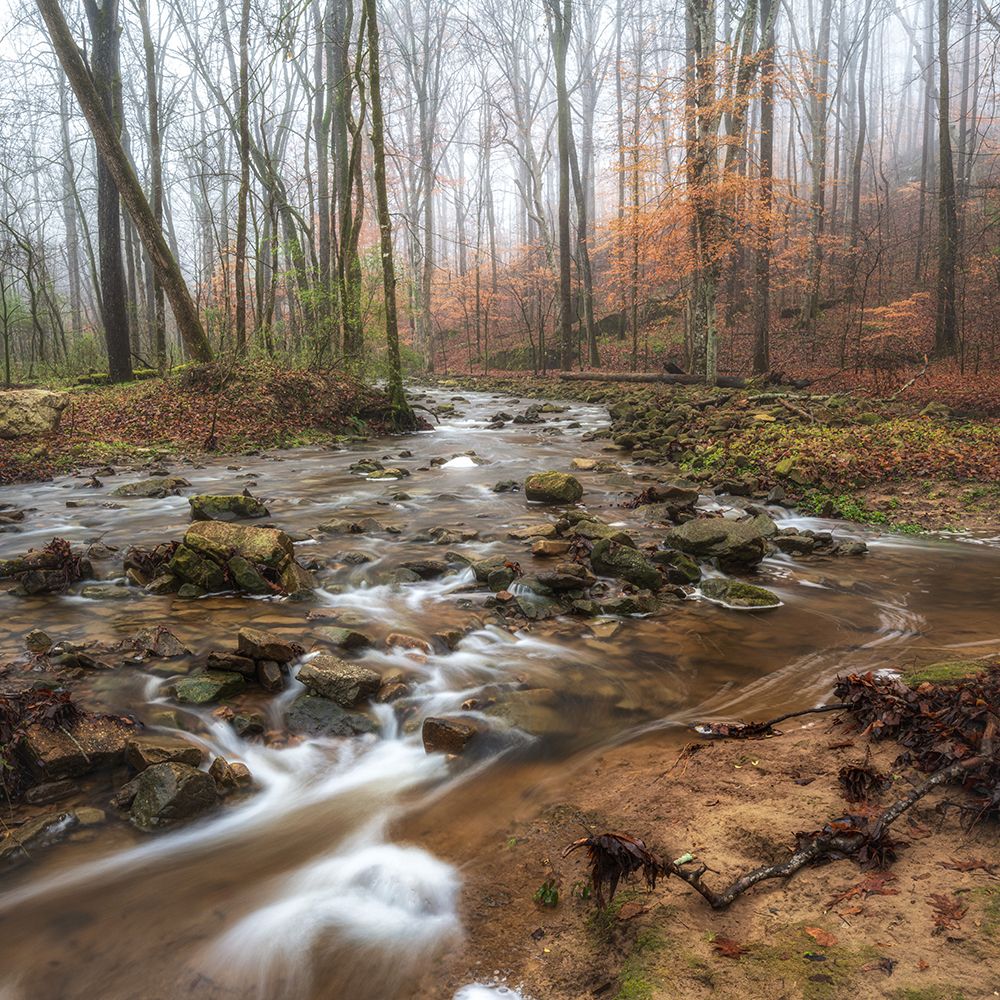 Lower Sauty Creek art print by Danny Head for $57.95 CAD