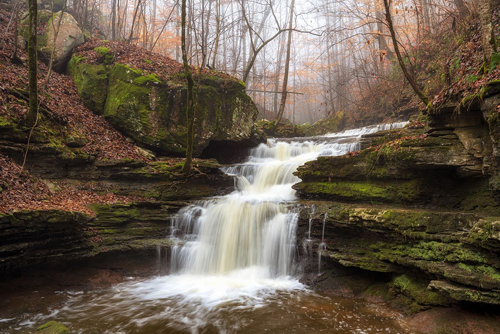Sauty Creek Falls I art print by Danny Head for $57.95 CAD
