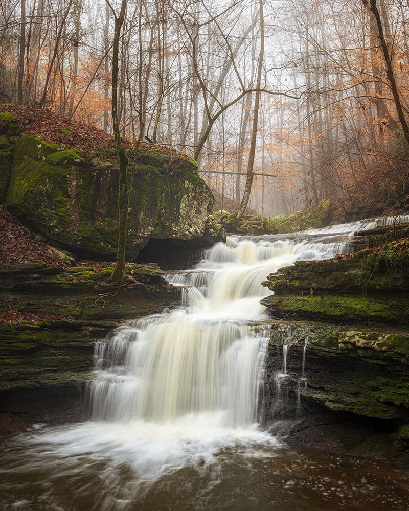 Sauty Creek Falls II art print by Danny Head for $57.95 CAD