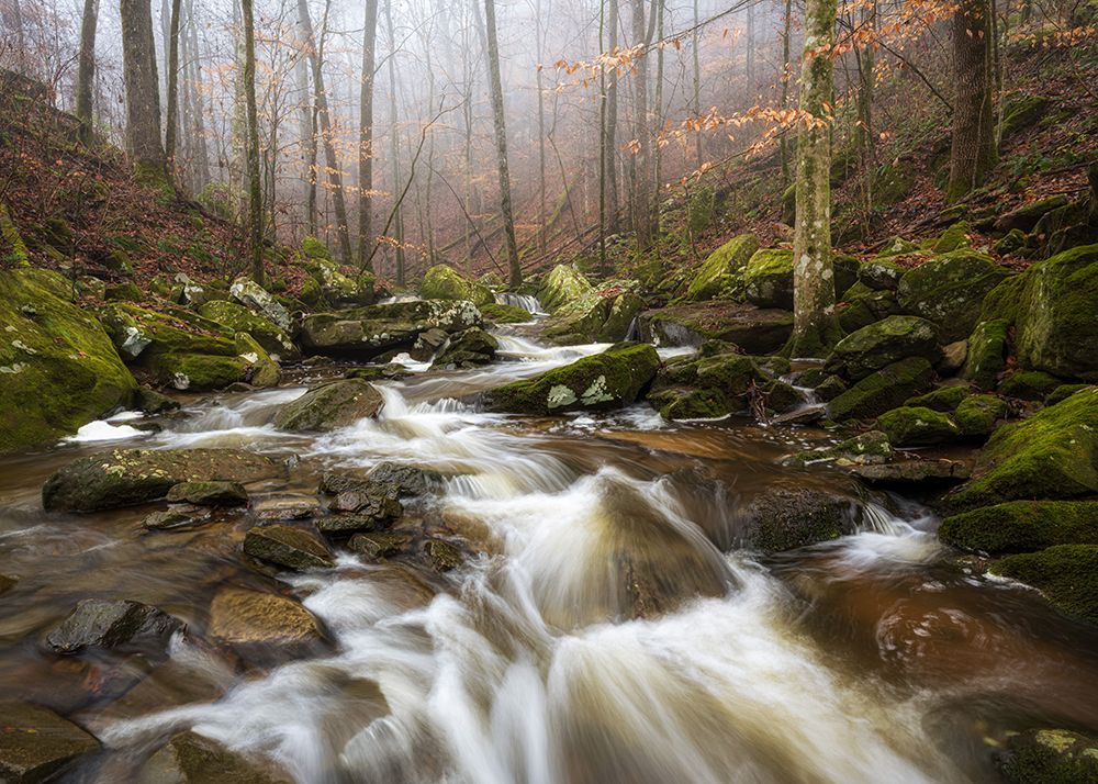 Sauty Creek Falls III art print by Danny Head for $57.95 CAD